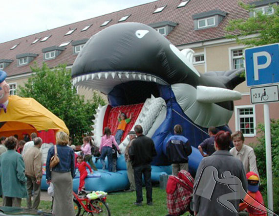 :: Riesenrutsche Free Willy, Springburg mieten, Springburg Wal leihen